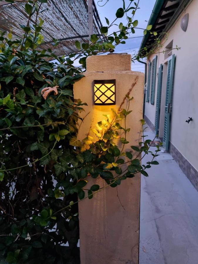 Rose Inn Guest House Πίζα Εξωτερικό φωτογραφία